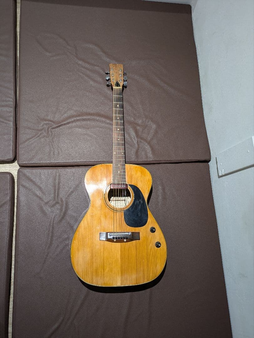 ジャパンビンテージアコースティックギター