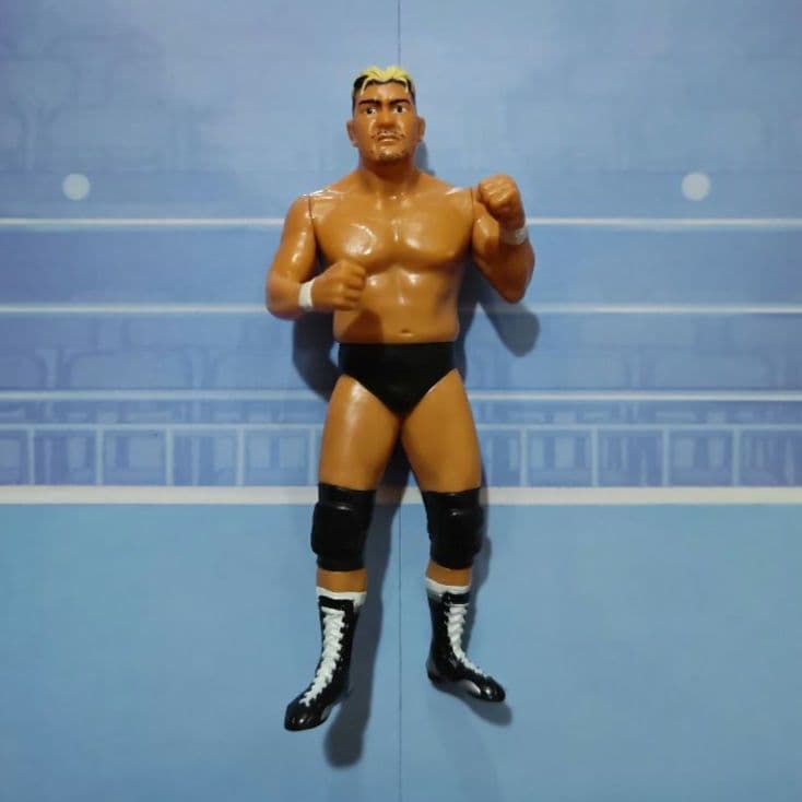 大森隆男　秋山準　プロレスフィギュアセット