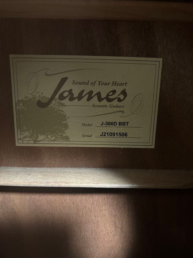 J-300D BBT アコースティックギター アコギ J21091506