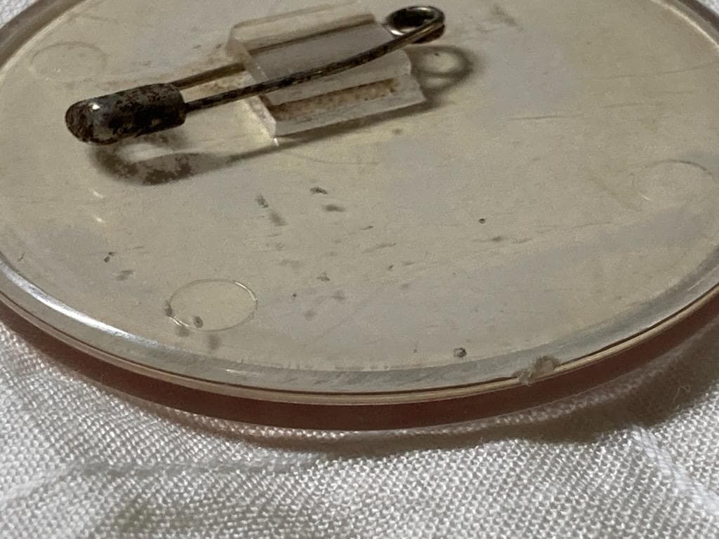 【希少！ヴィンテージ】キャンディキャンディ プラスチック製バッジ いがらしゆみこ