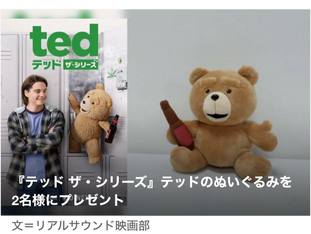 【テッドザ・シリーズ】ted ぬいぐるみ　希少　くま　激レア　マスコット