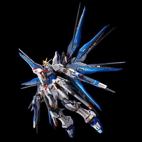 【2品セット】RG ストライクフリーダム／デスティニーガンダム チタニウム