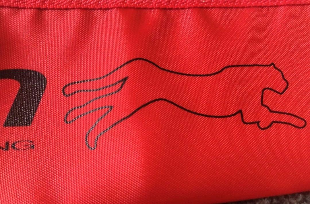 がまかつ ラグゼ チーター EG 80H ※特注品※