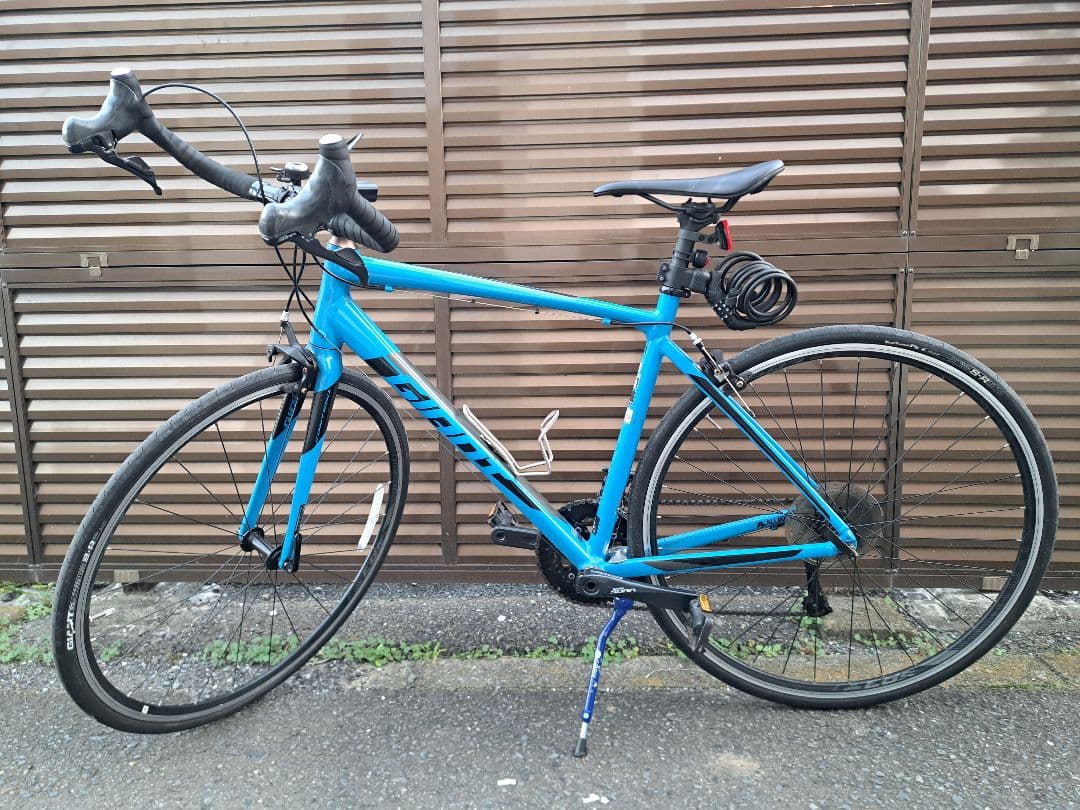 giant contend1 2019 ブルー