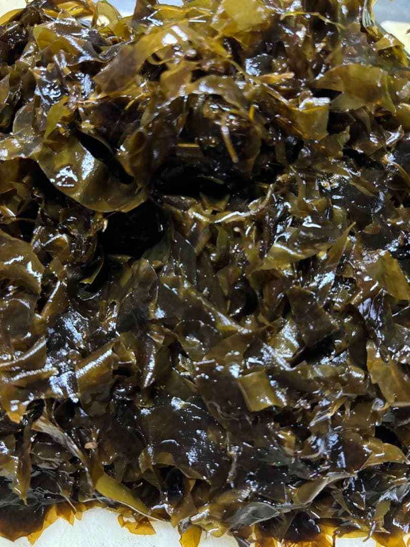 房州館山産✴︎はばのり100枚約900g