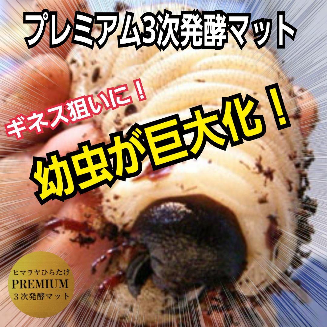 幼虫がビッグサイズに！プレミアム3次発酵カブトムシマット【60L】特殊アミノ酸入