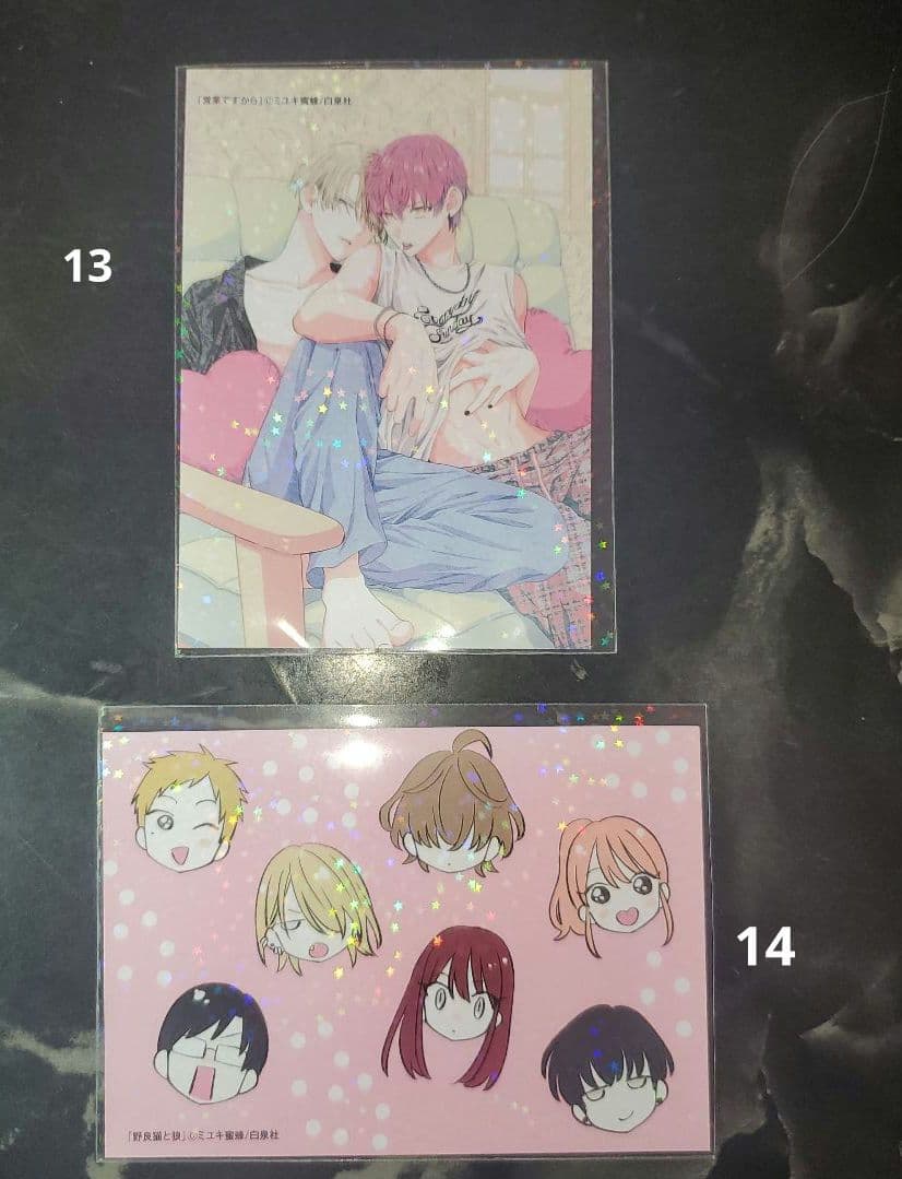 春モン、野良猫、なまいき　ブロマイド