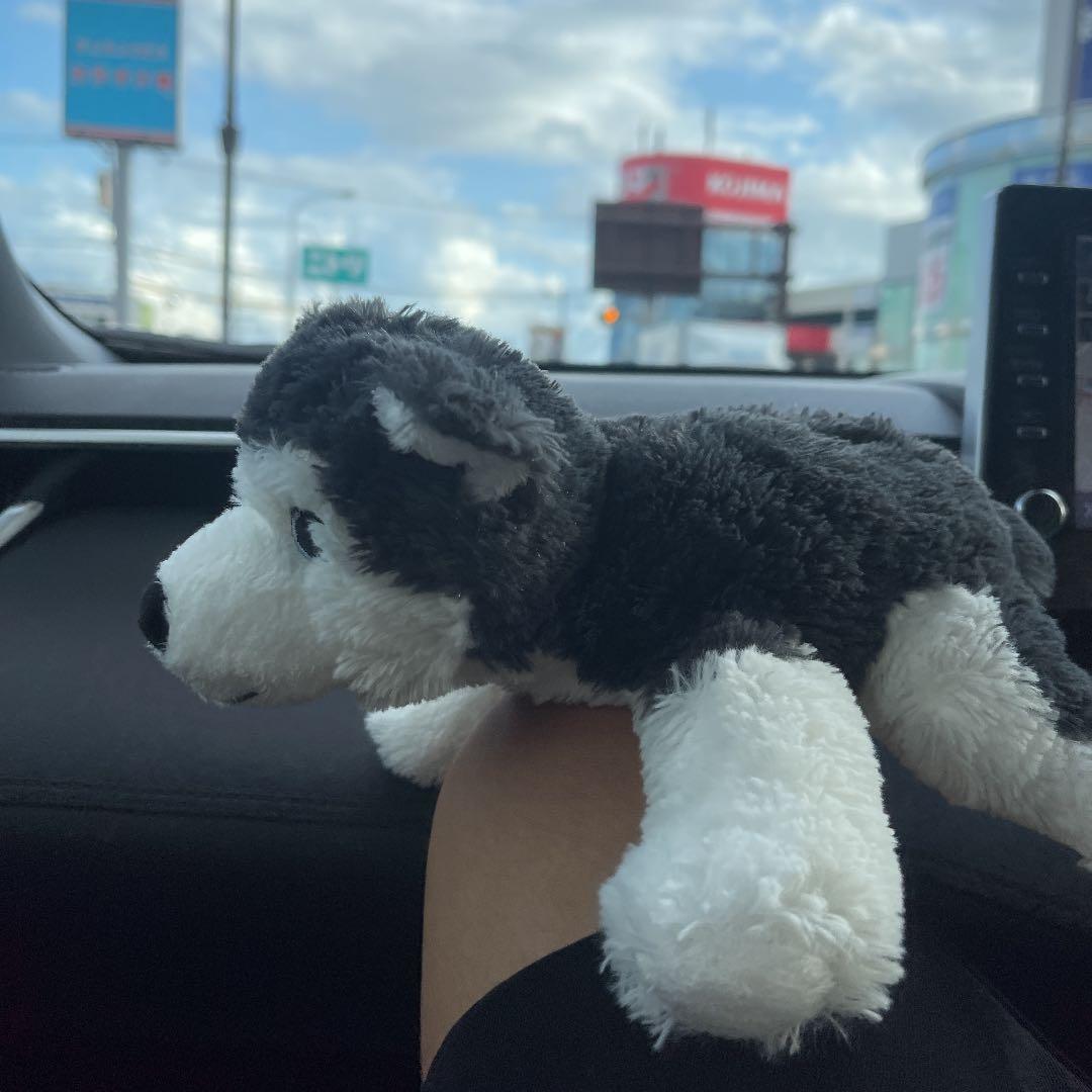 勝手に喋る蛇【サラマンダーの吐息】