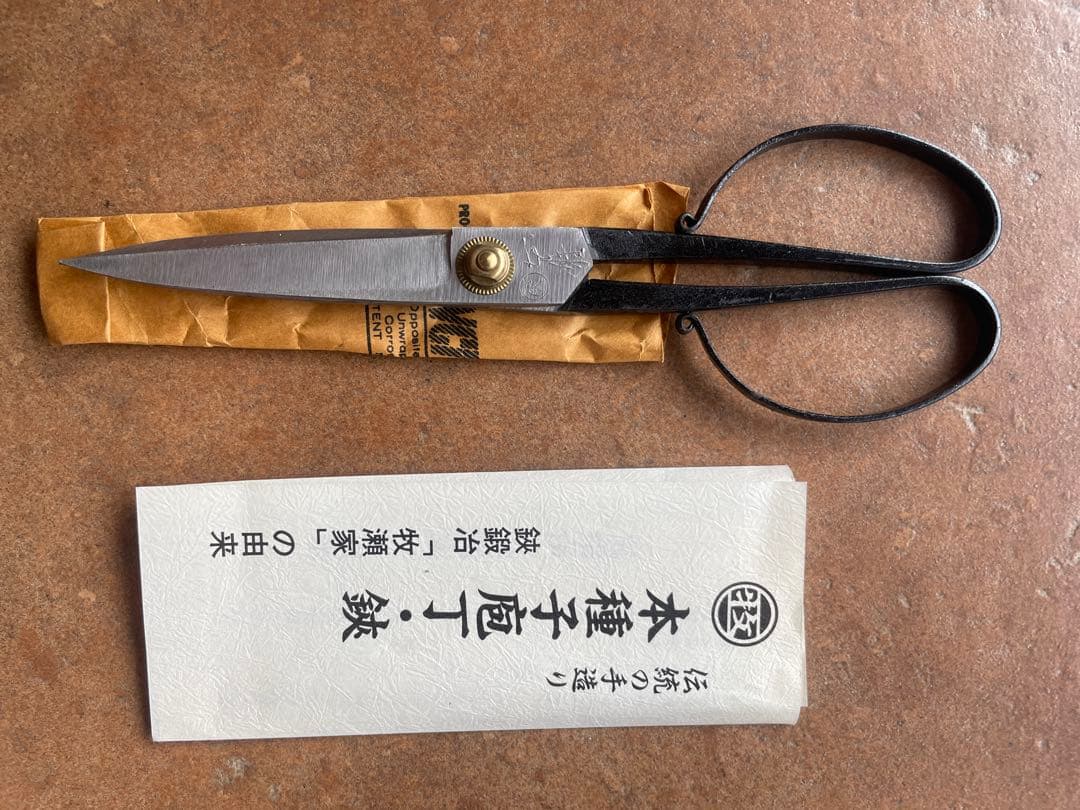 ほぼ新品　本家　本種子鋏