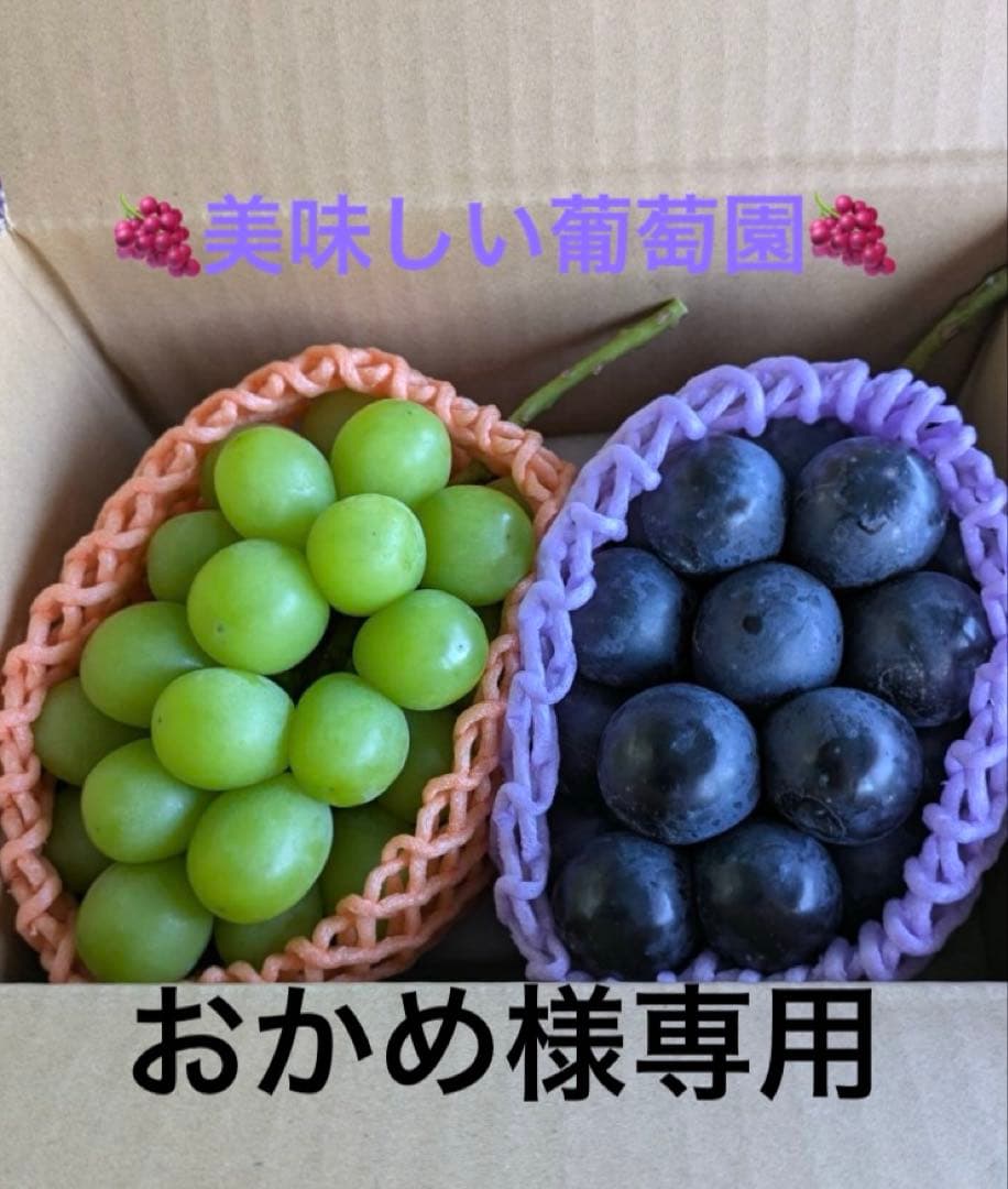 おかめナガノパープル2房、シャインマスカット2房