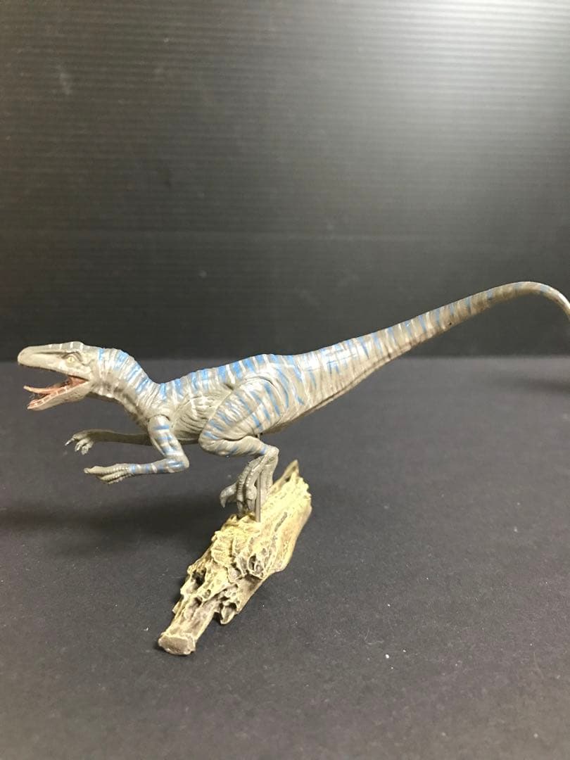 【本心楠改 1/35 ラプトル4姉妹 ver.カエサル】