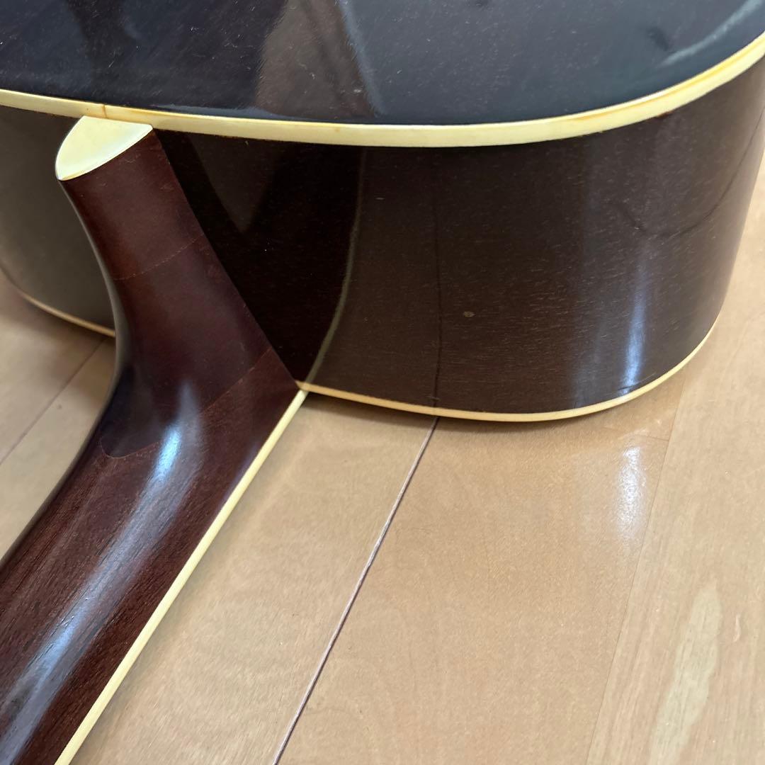 ぴょんたんCat's Eyas CE-200 東海楽器工房