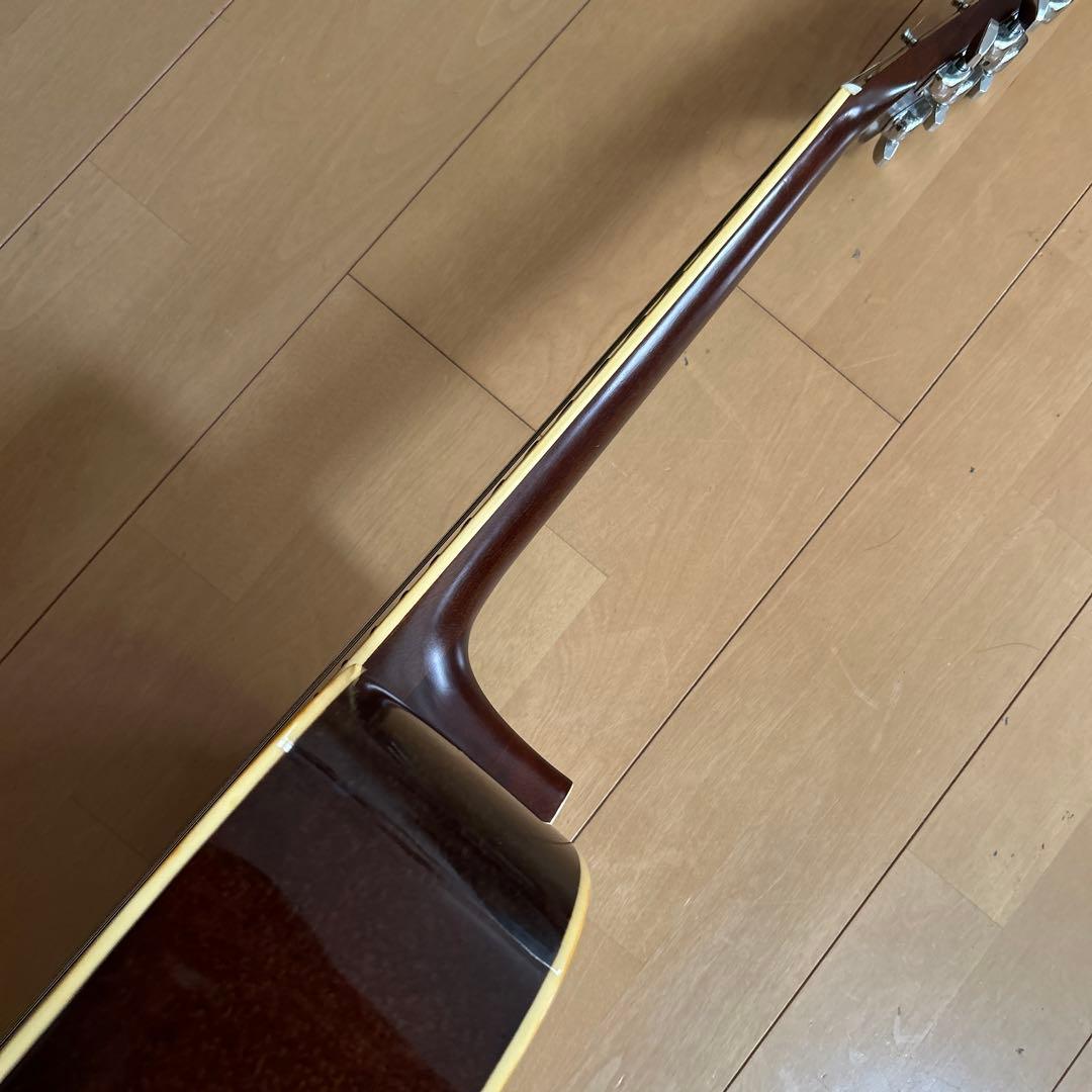 ぴょんたんCat's Eyas CE-200 東海楽器工房