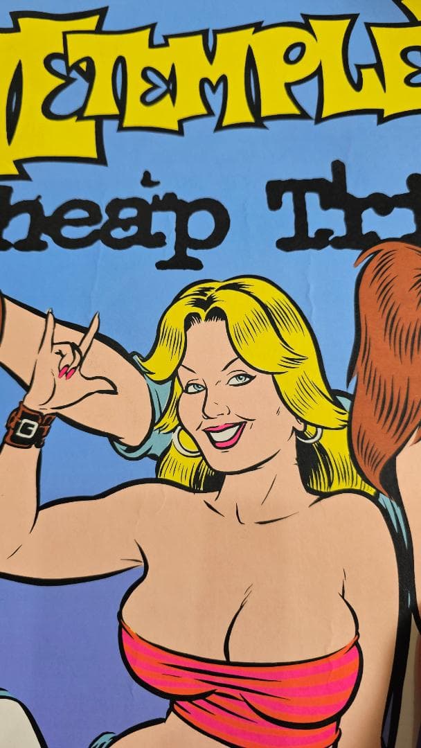 coopクープ シルクスクリーンポスター/シリアルナンバー&サイン入オリジナル