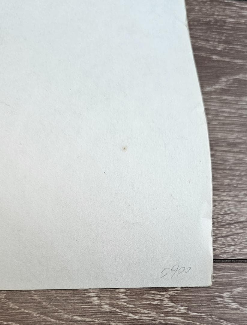 coopクープ シルクスクリーンポスター/シリアルナンバー&サイン入オリジナル