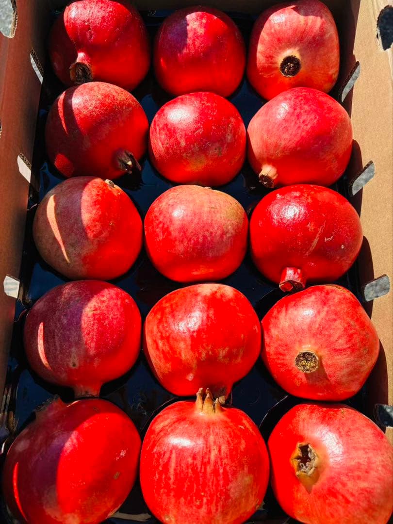 新鮮ザクロ　1箱 約5kg