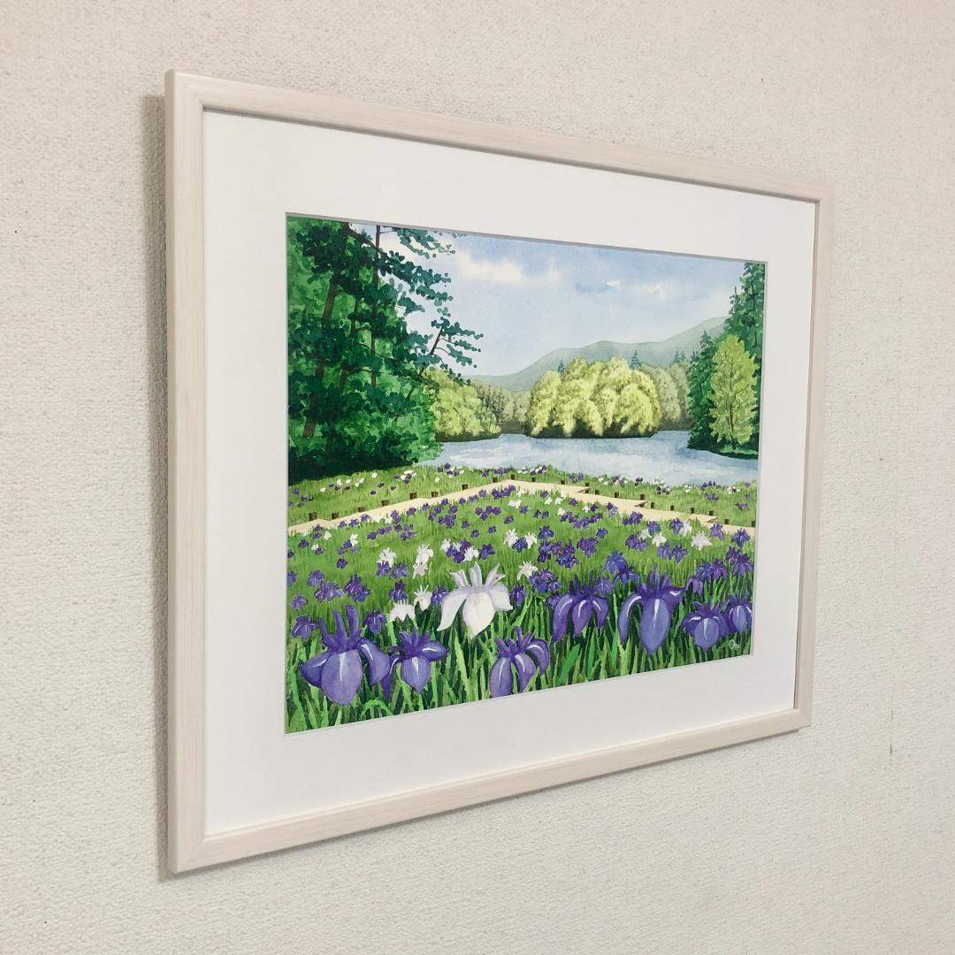 透明水彩画　原画　「カキツバタの咲く水辺」額縁付　F6サイズ　風景画