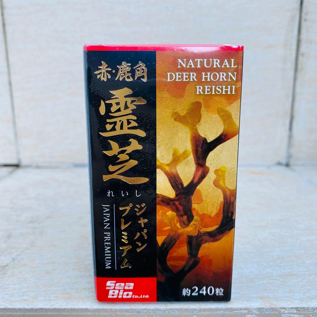 霊芝 Reishi Natural 5個 賞味期限2026年２月