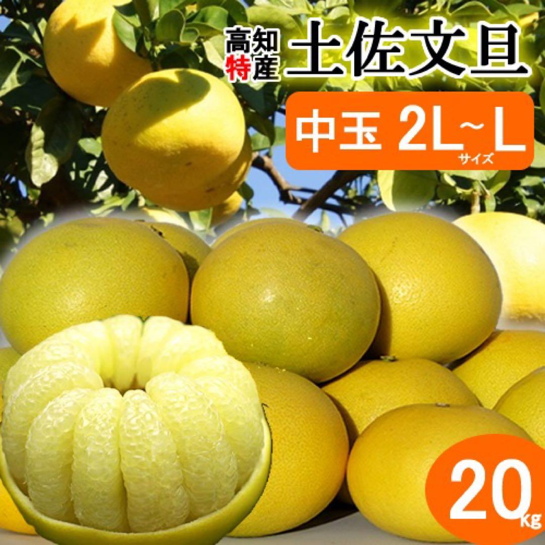 中玉限定☆ご家庭用　高知特産土佐文旦　2L〜Lサイズ19〜25玉入り約10㎏2箱