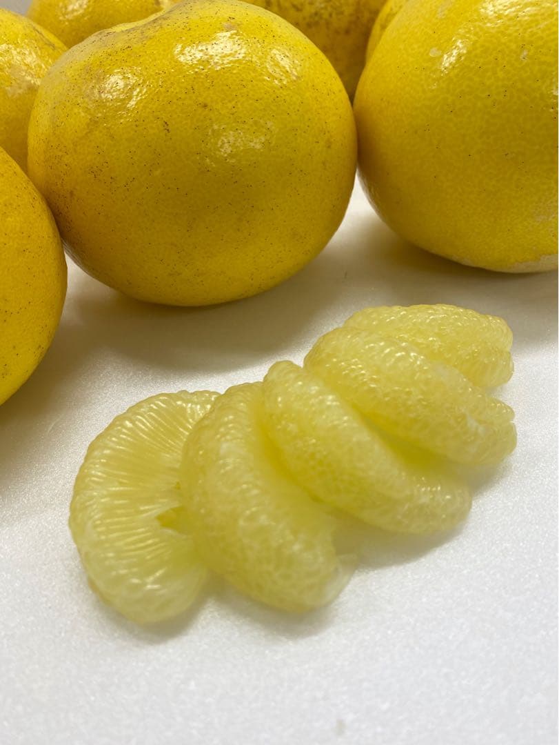 中玉限定☆ご家庭用　高知特産土佐文旦　2L〜Lサイズ19〜25玉入り約10㎏2箱