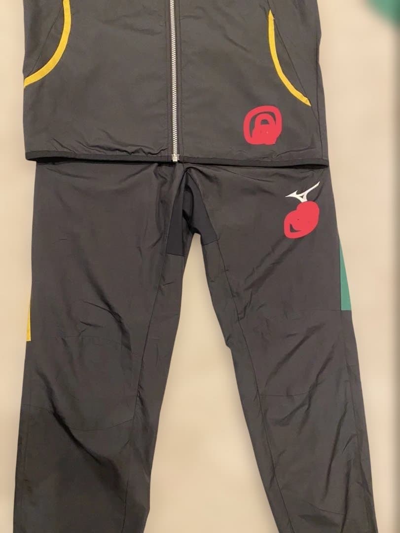 静岡学園　ミズノ　ウインドブレーカー上下　shiztgaku