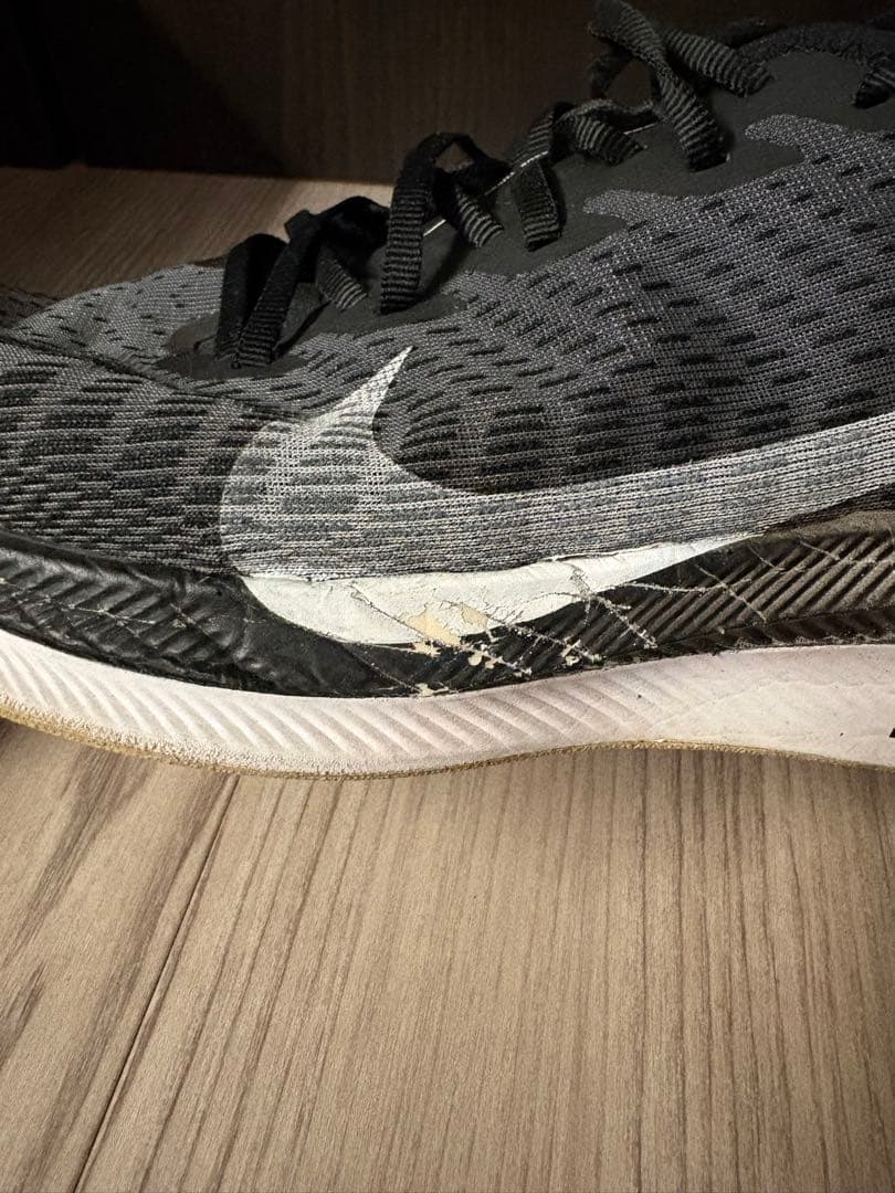 Nike ペガサスターボ2 25.5cm