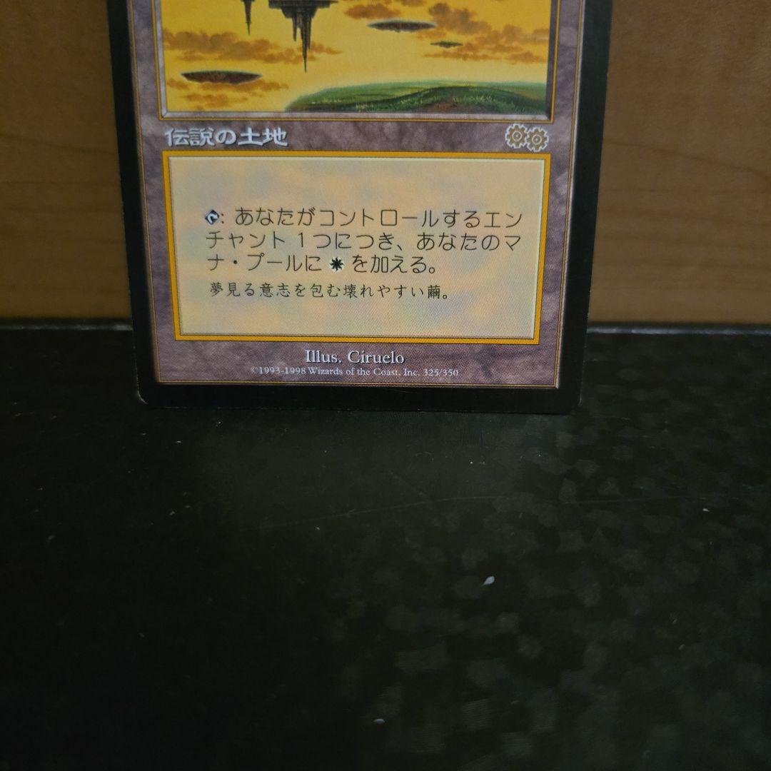 セラの聖域 MTG　①