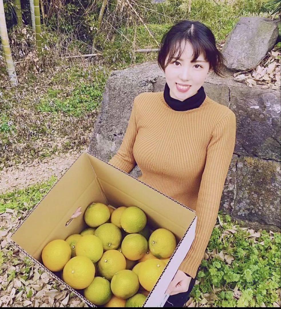 味にハズレなし！見た目を裏切る美味しさ【熊本産スイートスプリングLサイズ約20k