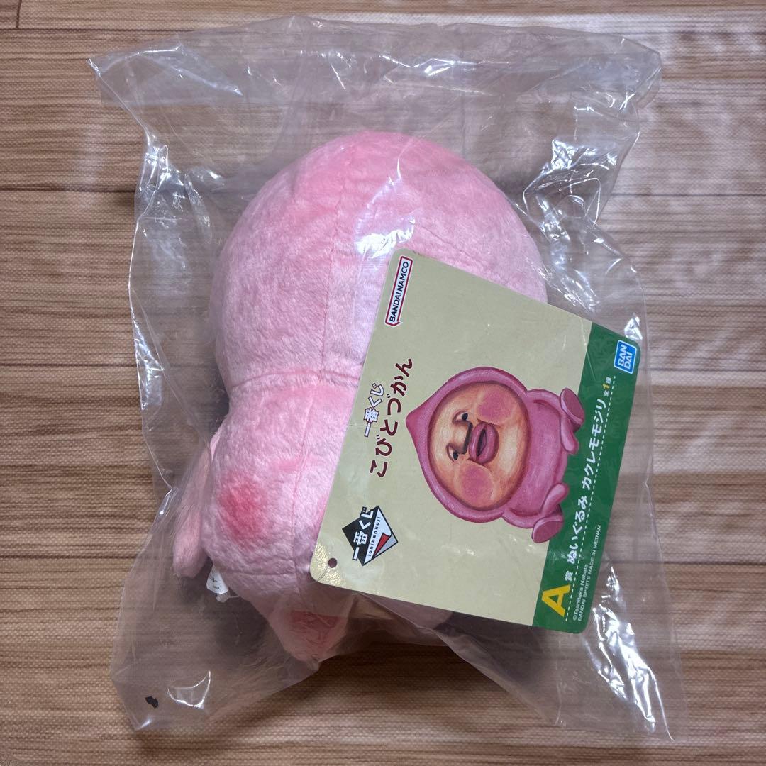 こびとづかん　一番くじ　A賞　ぬいぐるみ　カクレモモジリ