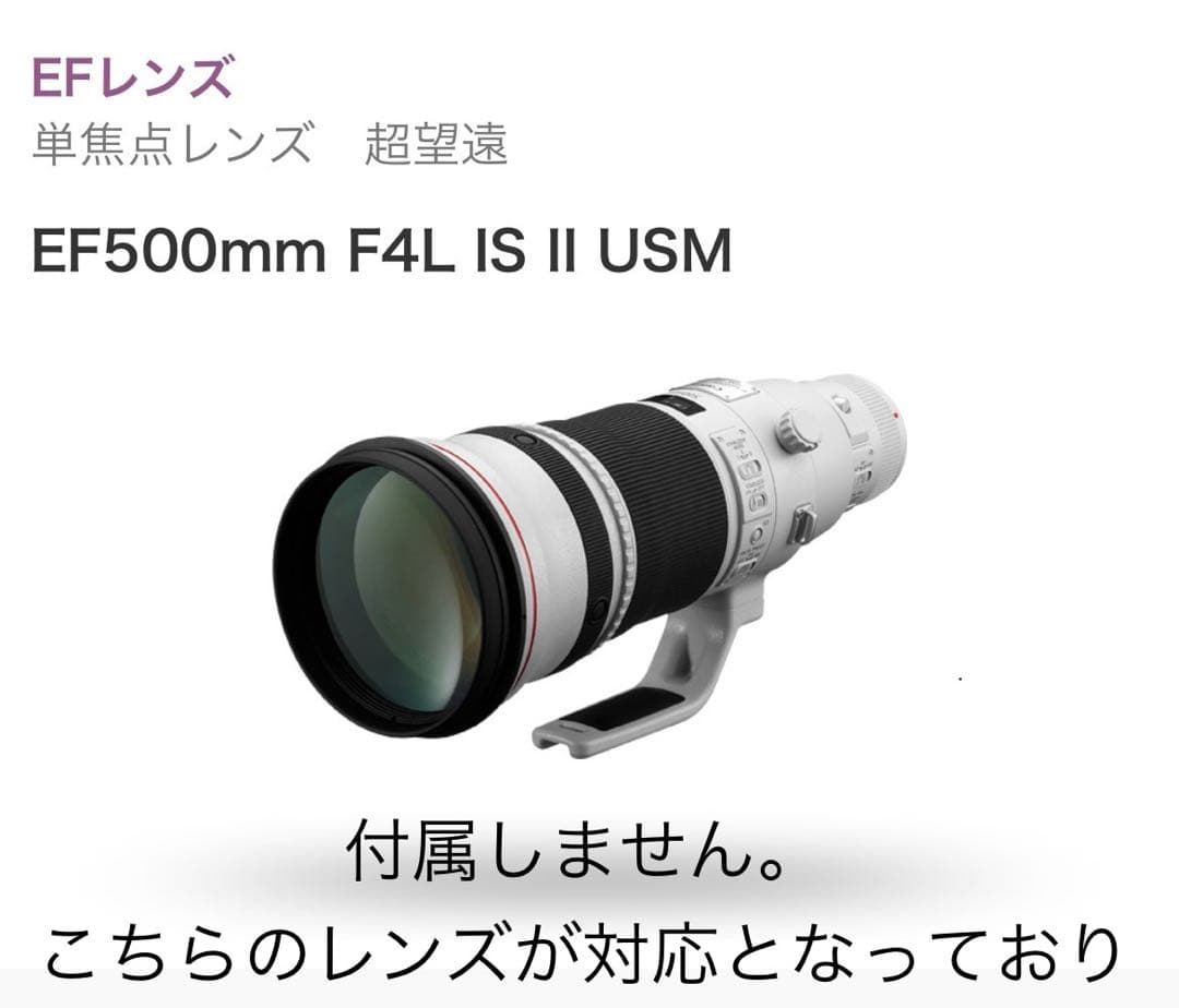 【美品】廃盤　Canon レンズケース500B グレー　EF500mm用