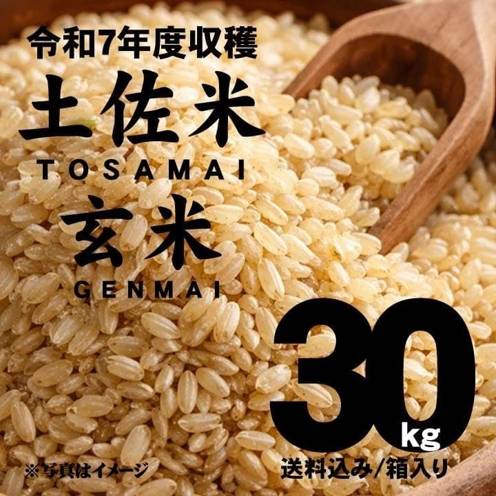 令和7年8月収穫土佐米/高知県産コシヒカリ(玄米)30kg 送料込/(箱入)