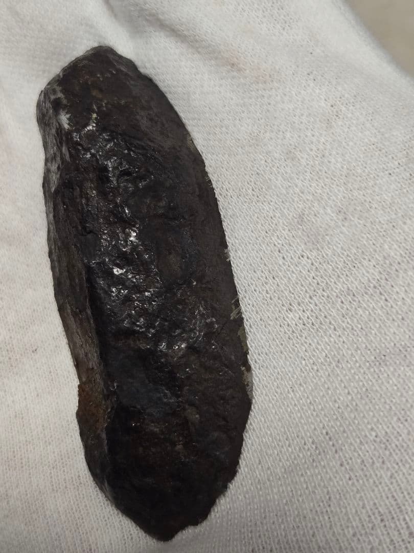 ムオニオナルスタ隕石 84g エンドカット