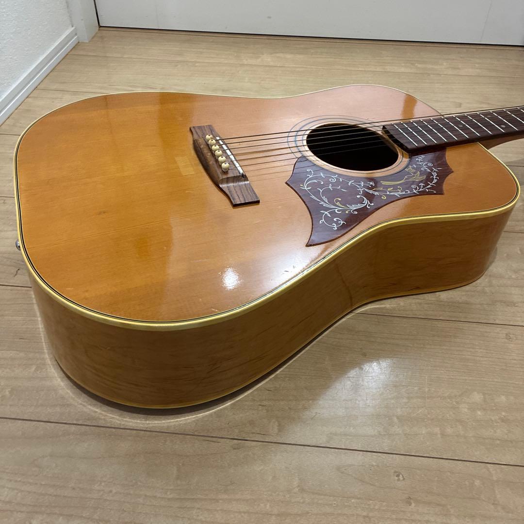 激レア　ZENON roje 全音　アコースティックギター　ハミングバードタイプ