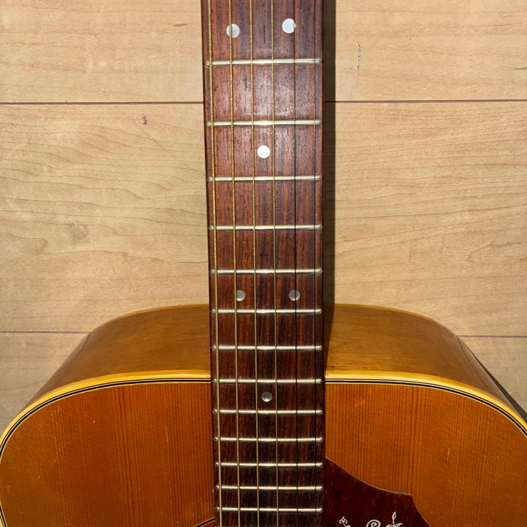 激レア　ZENON roje 全音　アコースティックギター　ハミングバードタイプ