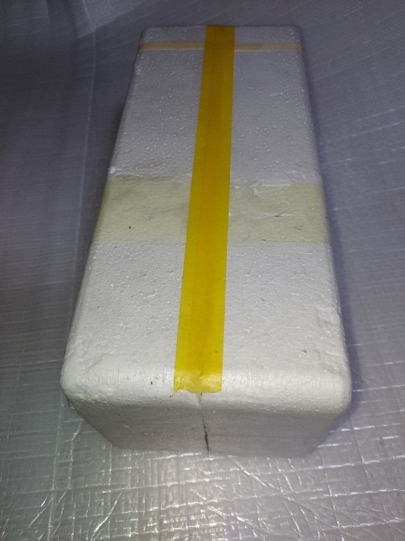 N*様 ★希少★新品・未使用★ブラックライト★400W ライトトラップ★E40★