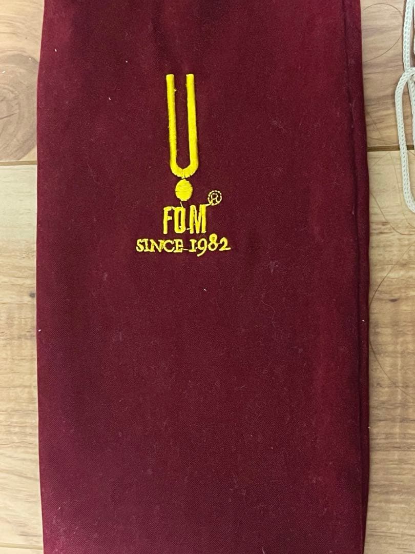 バイオリン/ピックアップ/The BAND