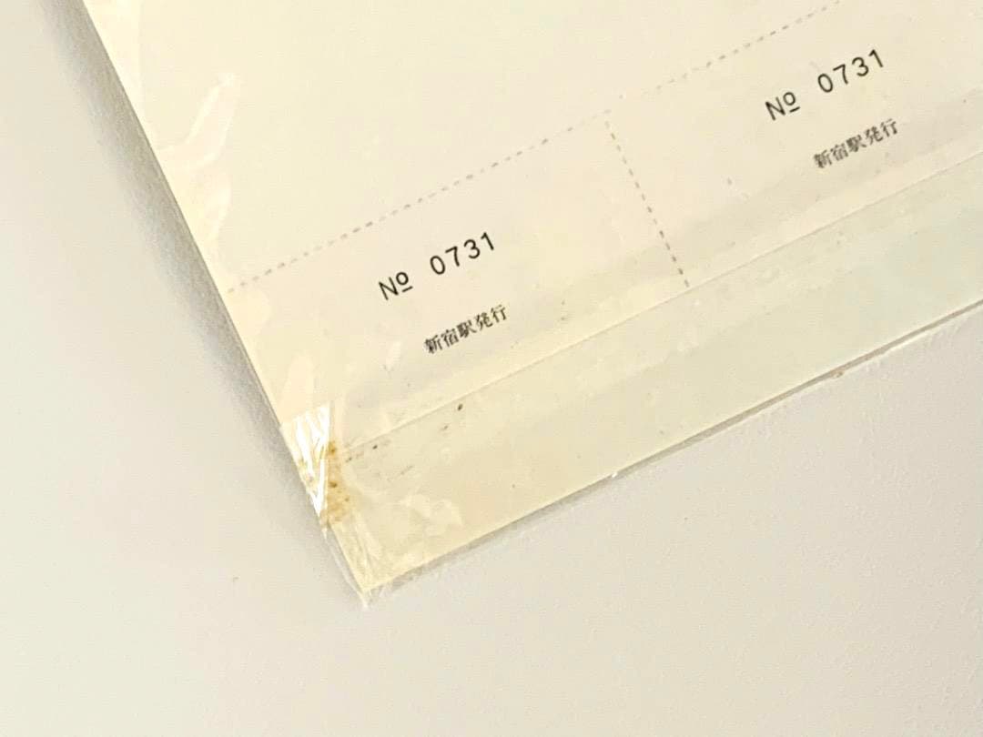 記念切符　議会開設100周年記念　国会議事堂　JR東日本　希少