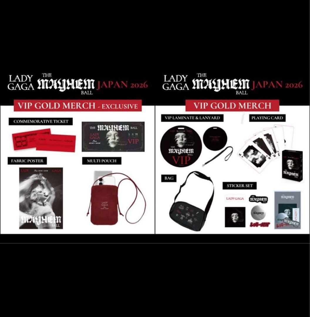 LADY GAGA VIP GOLD グッズ フルセット
