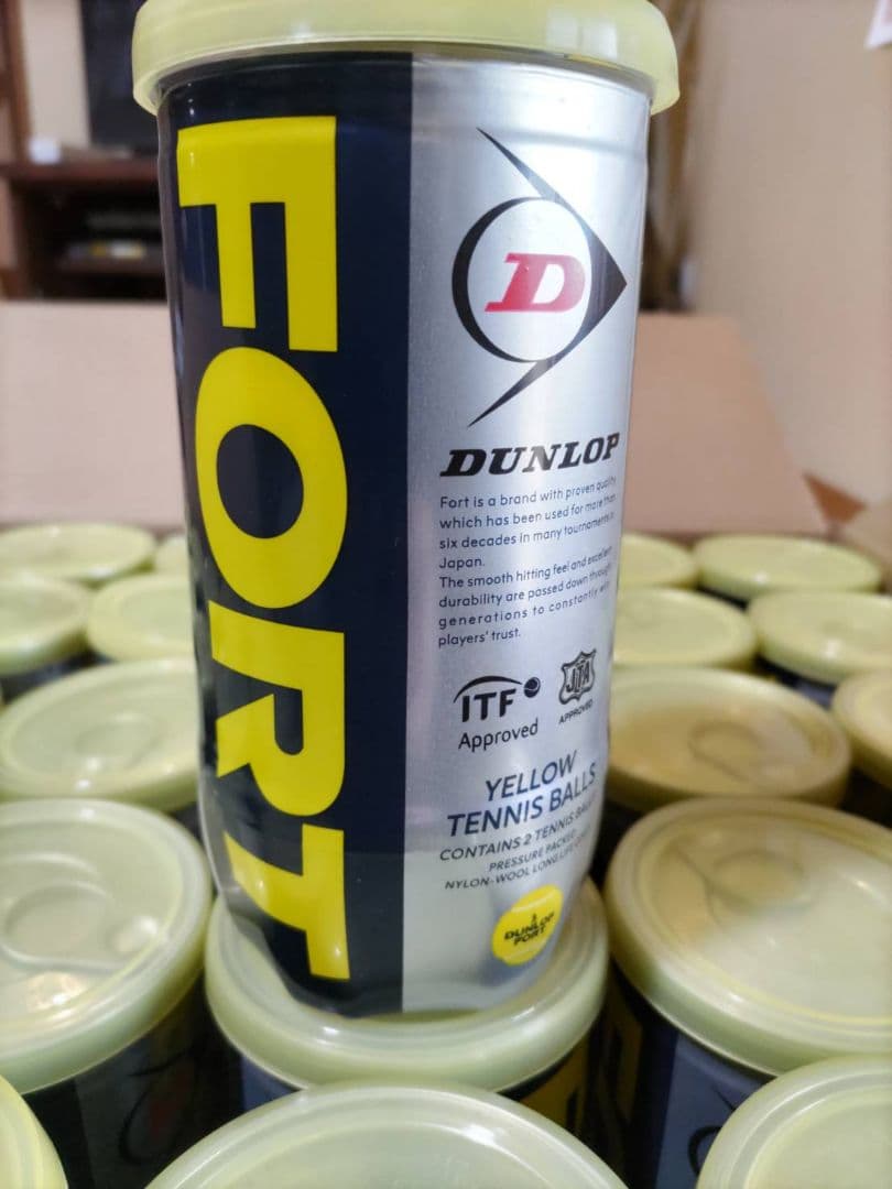 DUNLOP ダンロップFORT フォート 2個入1箱 30缶/60球 新品