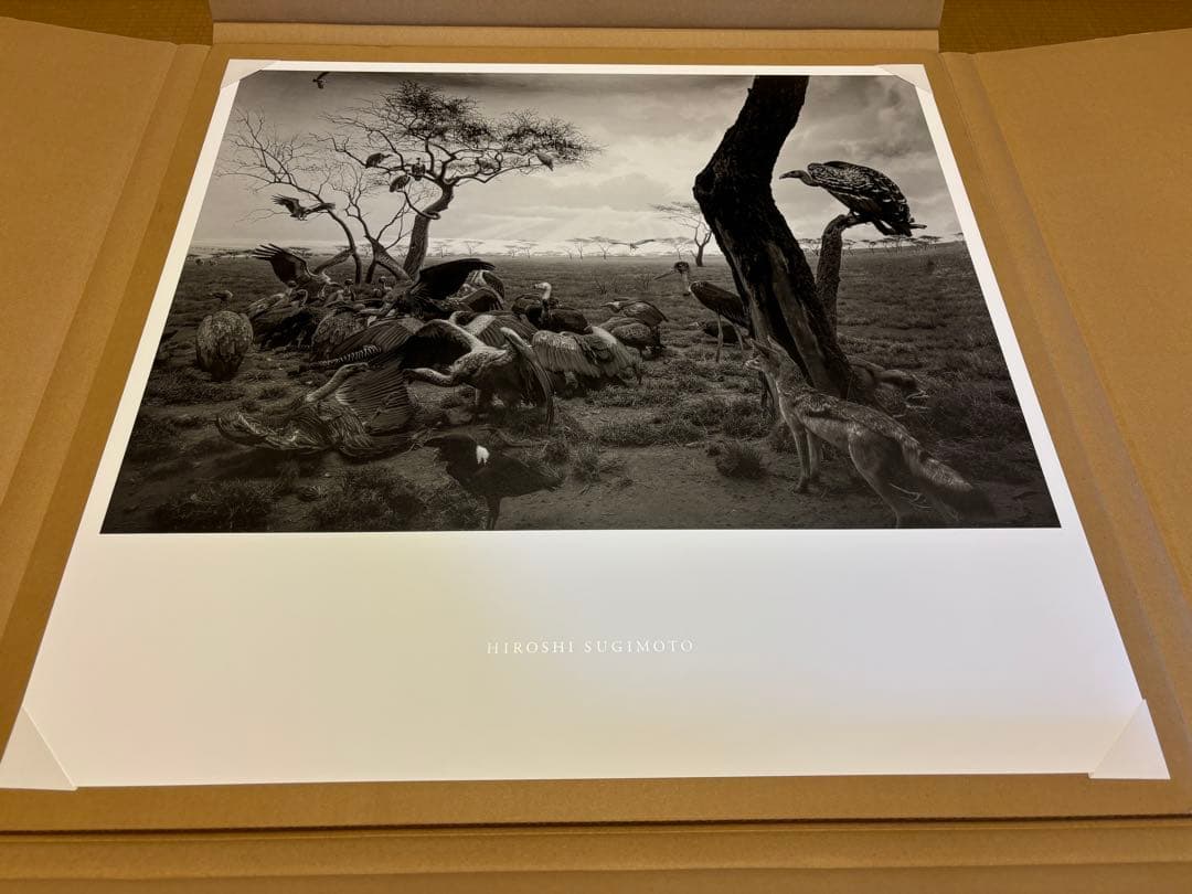 杉本博司　ポスター　ハイエナ　ジャッカル　コンドル