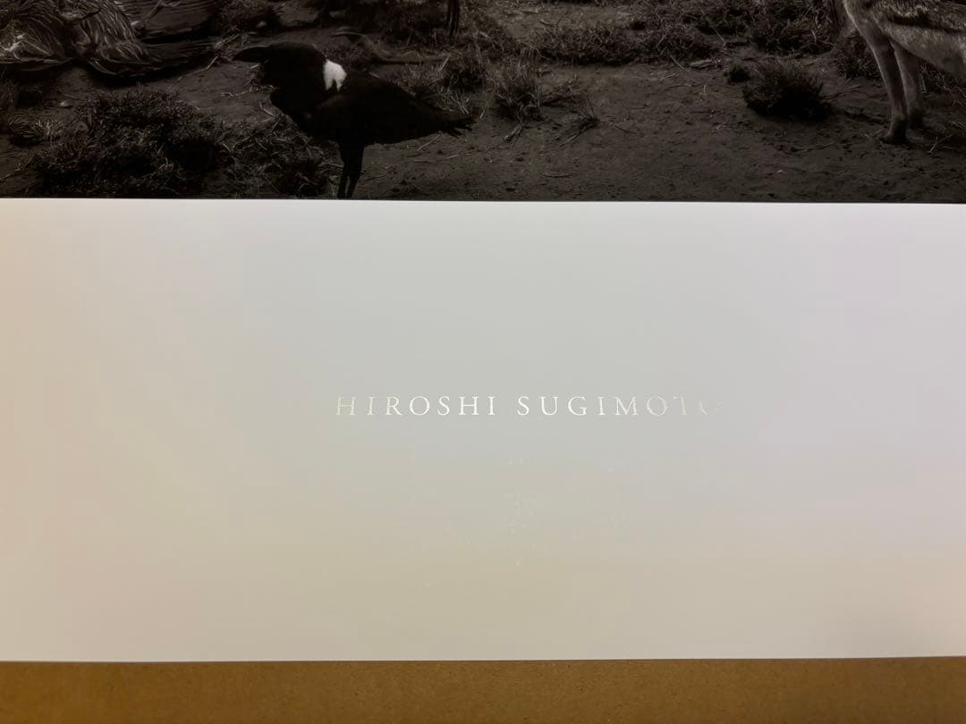 杉本博司　ポスター　ハイエナ　ジャッカル　コンドル