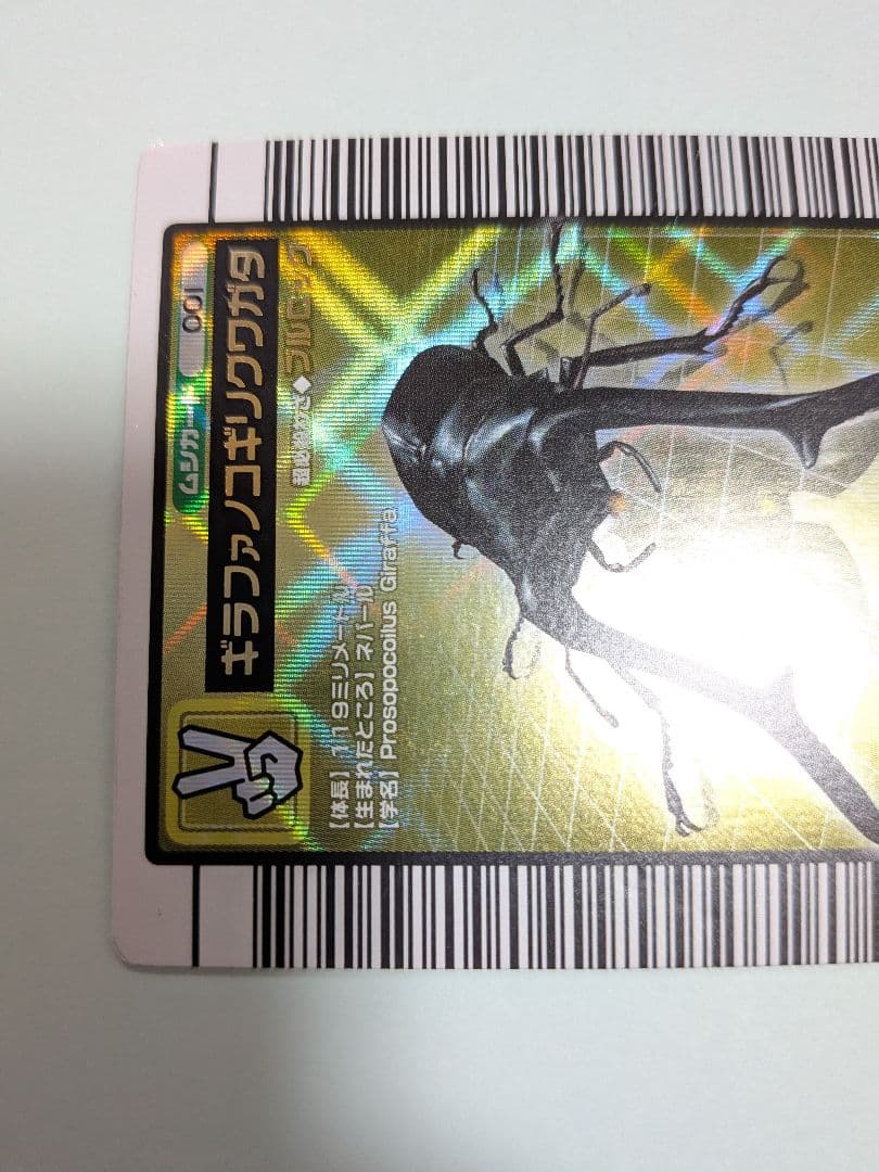 スパス様確認用②