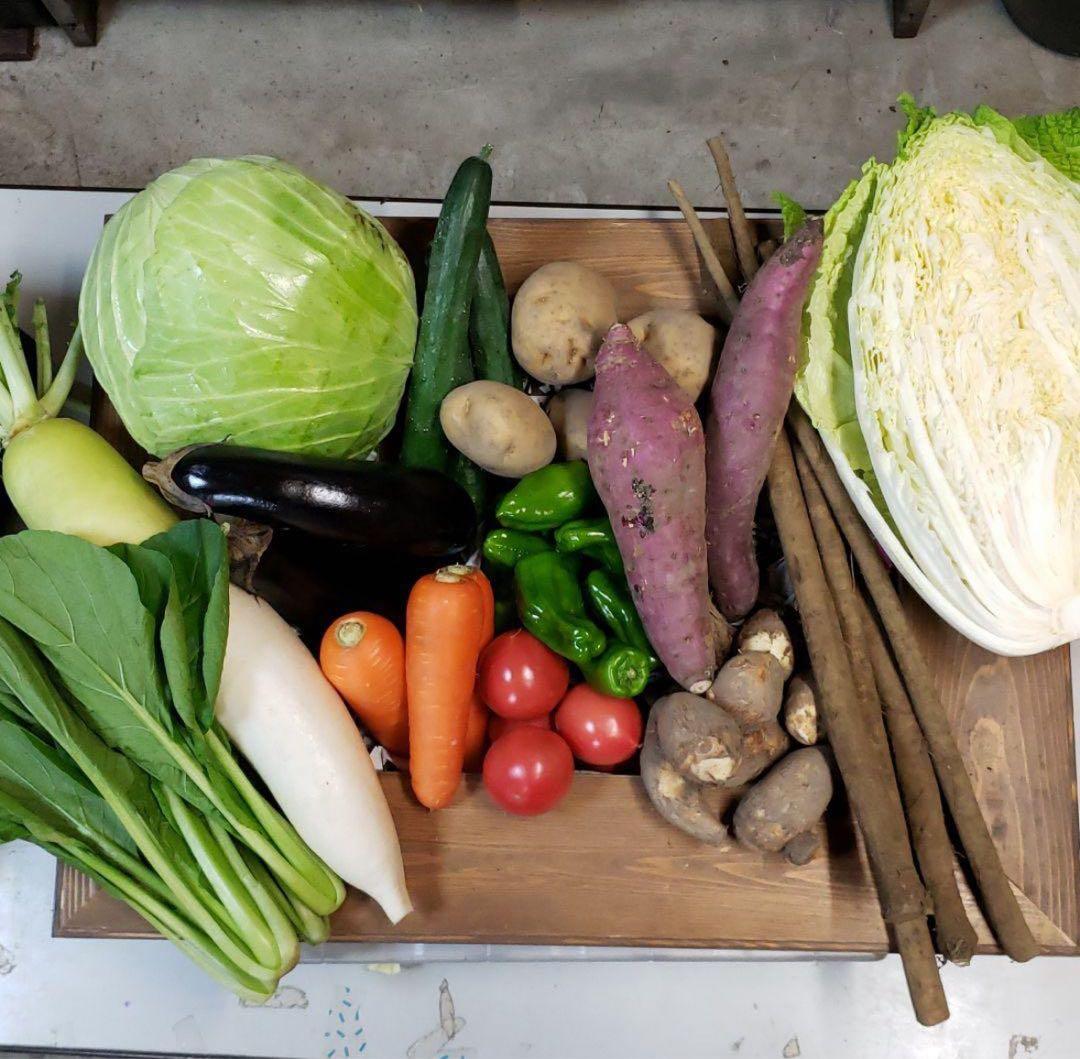 ぴろちゃん様 野菜 干し芋1 コシヒカリ