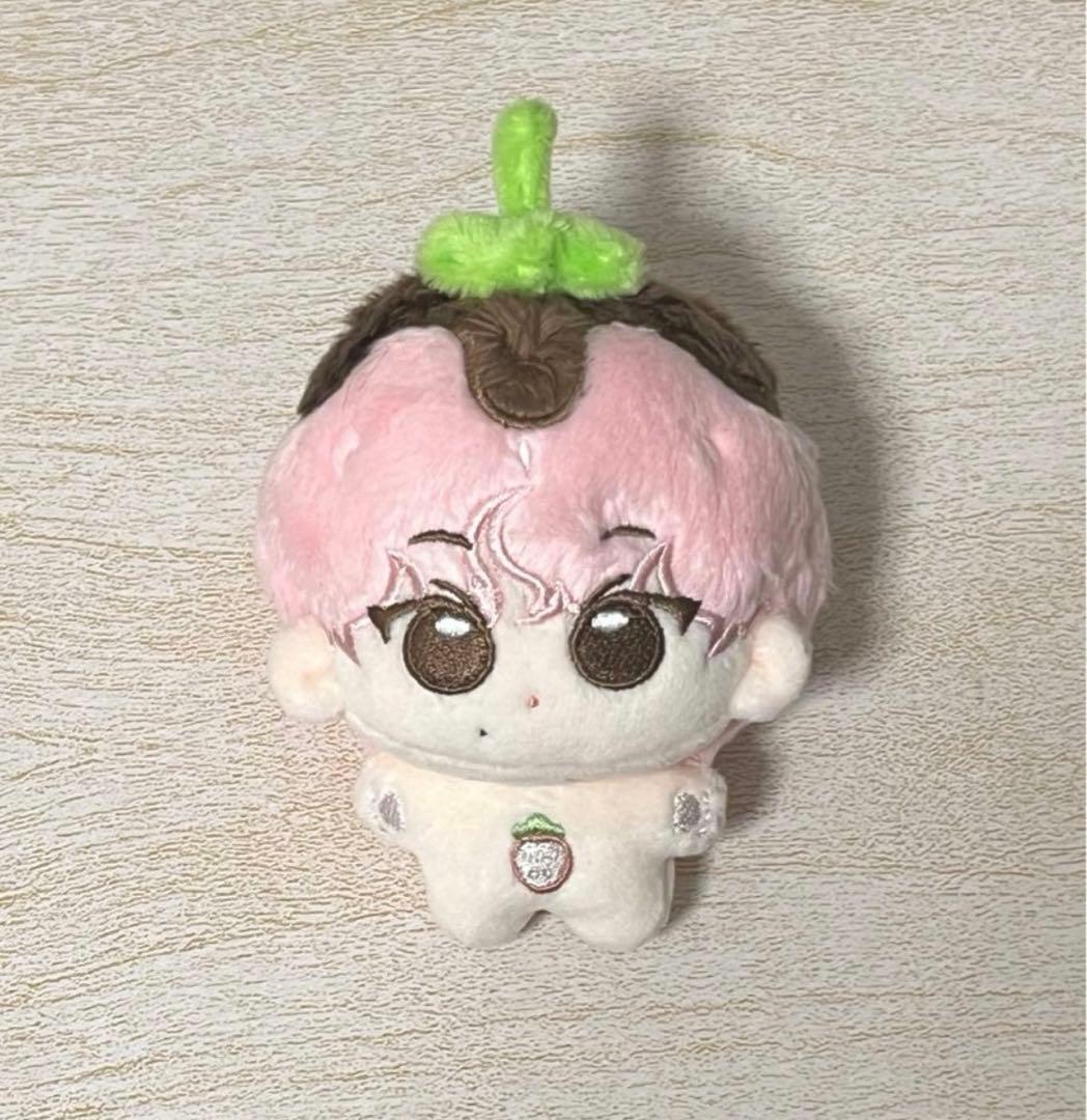 enhypen ジョンウォン ぬいぐるみ　10cm マスター　⑨