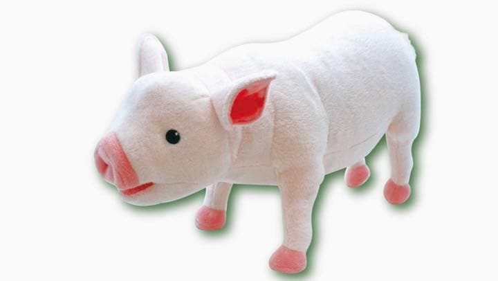 子豚のぬいぐるみ　30個セット