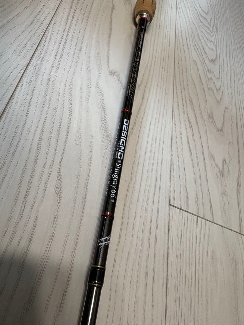 EVERGREEN カレイド　デジーノスティングレイ