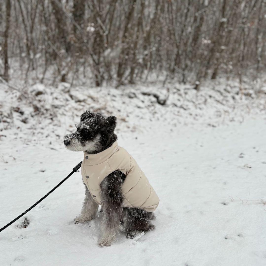 MAX BONE ARABELLA PUFFER VEST 犬用　ダウン
