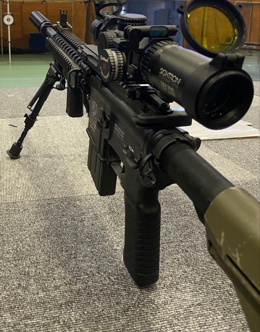 LayLax サイトロン ショートスコープ