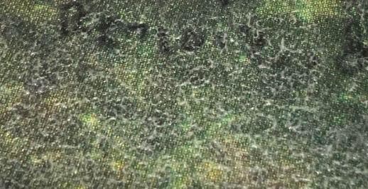 ルノワール 可愛いイレーヌ嬢 銀座トップアート 美術品 複製画 ダンヴェール嬢