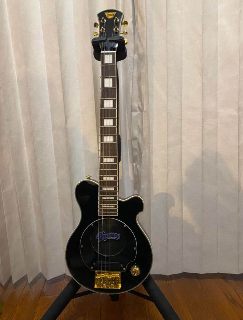 Pignose ピグノーズ PGG-259